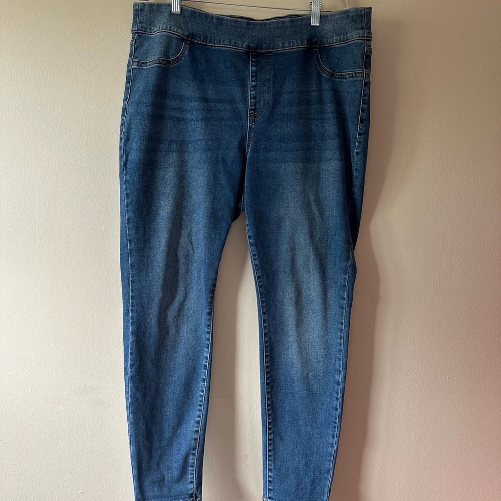 Lane Bryant Denim Skinny Jeans